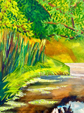Load image into Gallery viewer, Lough Hyne Walks