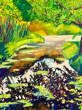 Load image into Gallery viewer, Lough Hyne Walks