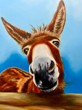 Load image into Gallery viewer, Donnie of Course