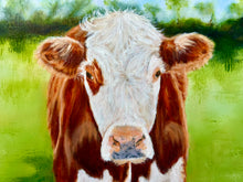 Load image into Gallery viewer, Daisy May