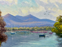 Load image into Gallery viewer, Family Trip on Killarney Lake