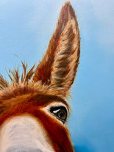 Load image into Gallery viewer, Donnie of Course