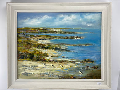 West Cork Sea Shores