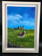 Load image into Gallery viewer, Donkey On Kilmoon