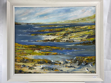 West Cork Coast