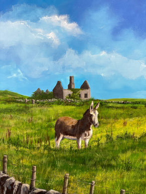 Donkey On Kilmoon